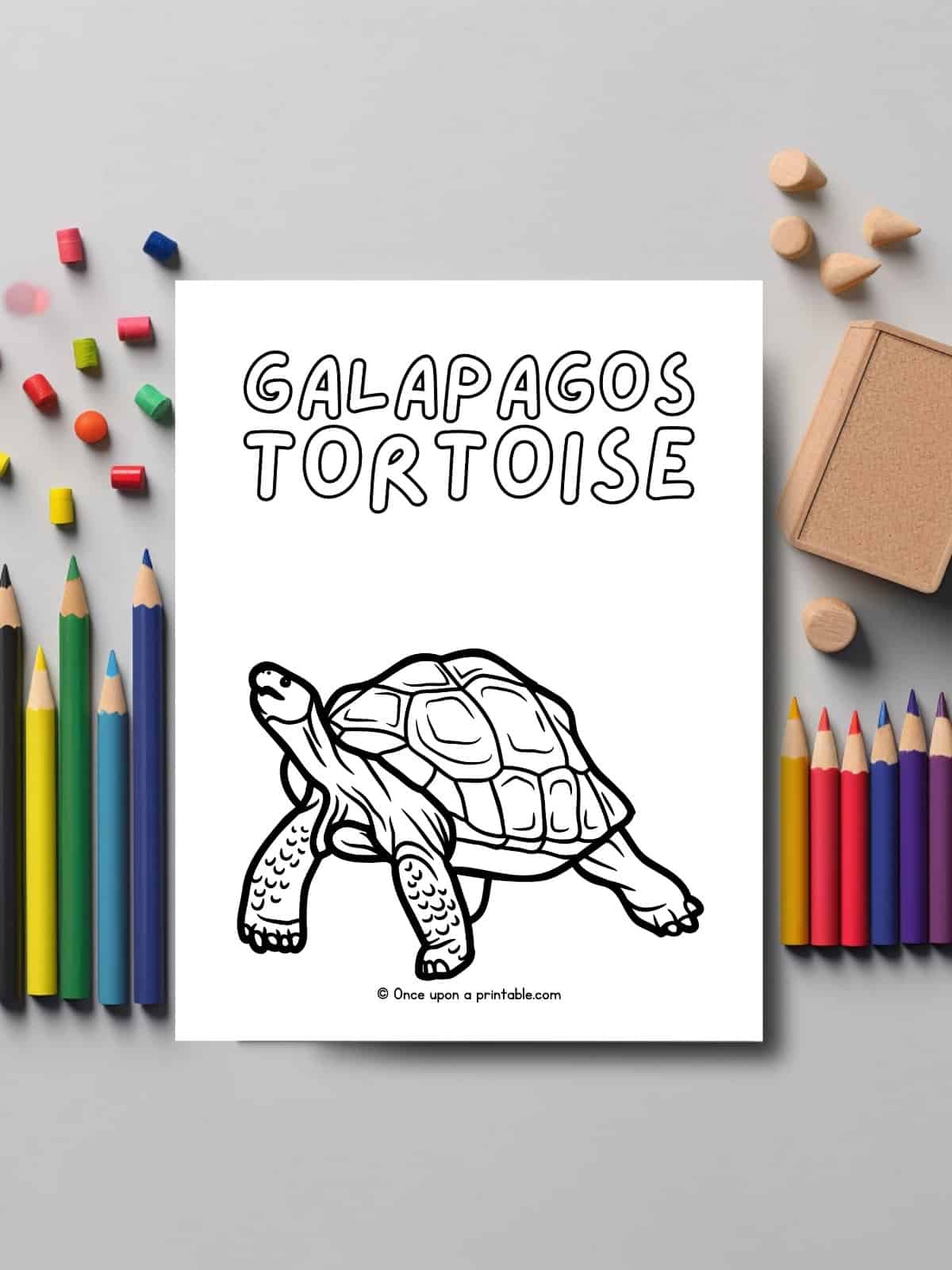Galapagos Tortoise coloring page laying on a table with coloring pencils. 