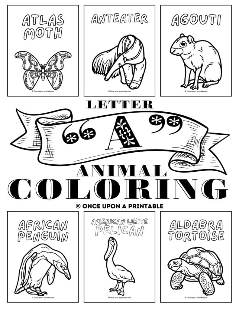 Letter A Animal coloring pages cover page.