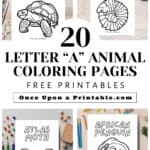 20 Letter A animal coloring pages laying on tables with coloring supplies.