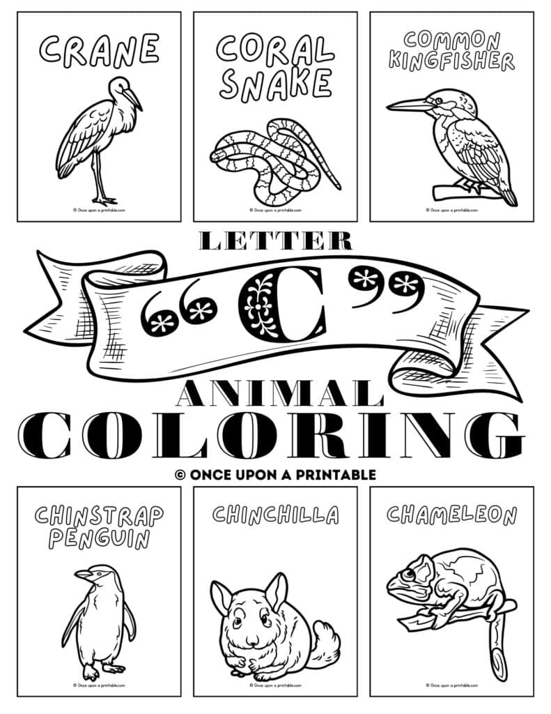 Letter C animal coloring pages cover page.