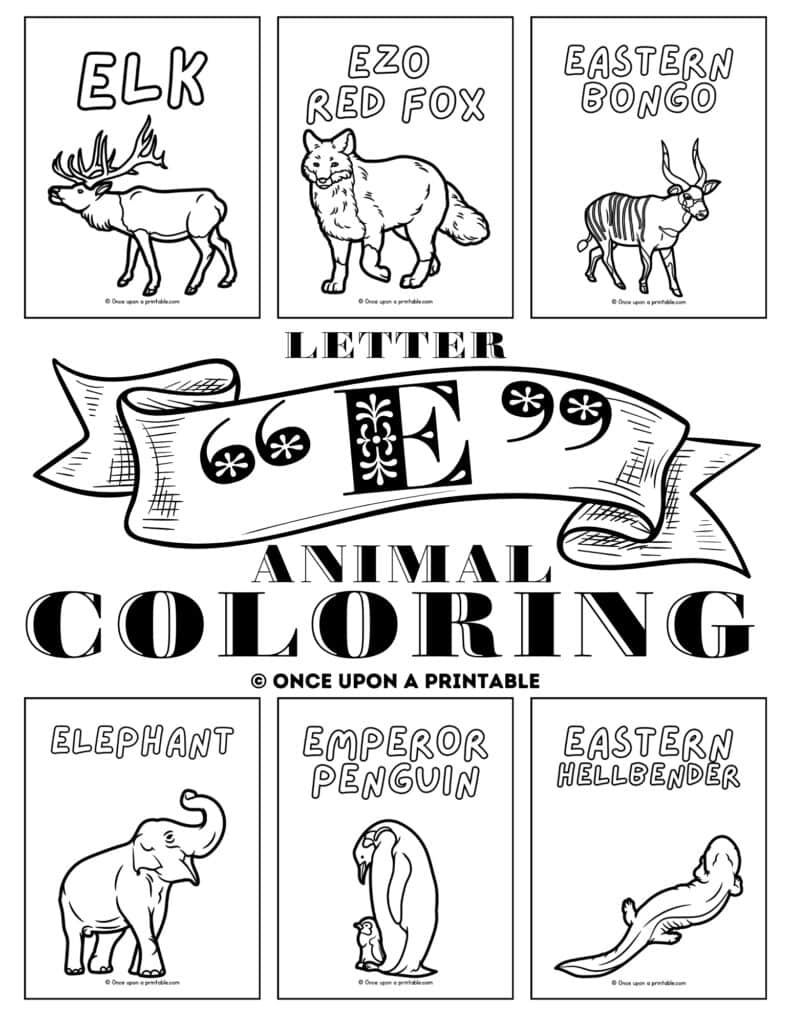 Letter e animal coloring pages cover page.