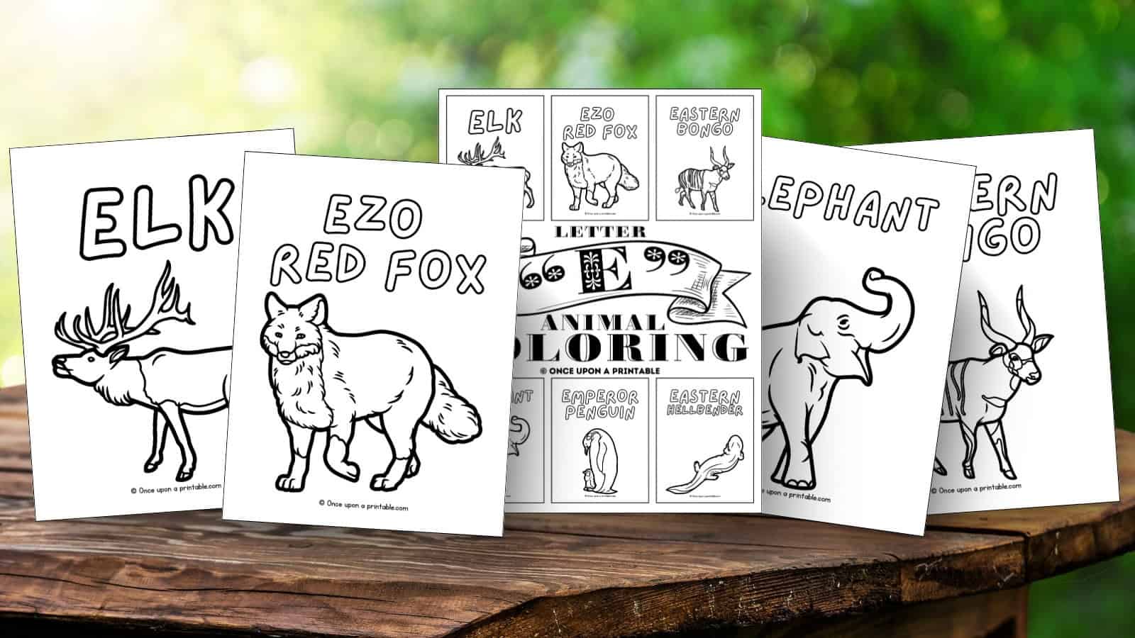 Letter E animal coloring pages: ezo red fox, elk, elephant, and eastern bongo, sitting on a wooden picnic table. 