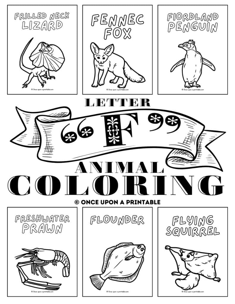 Letter F Animal Coloring page cover page with flouder, flying squirrel, Fiordland penguins, fennec fox, frilled neck lizard, etc.