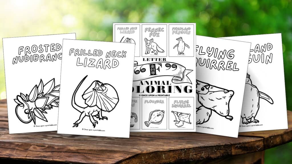 Letter F coloring pages with animals like frilled neck lizard, frosted nudibranch, flying squirrel, and fiordland penguin. 