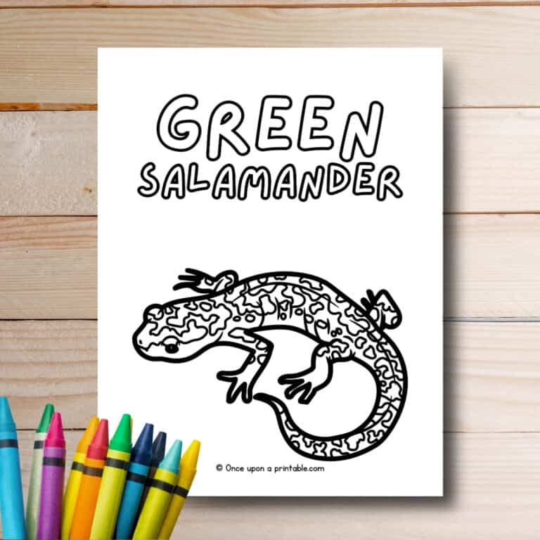 G is for Green Salamander animal coloring page laying on a wooden slat table.
