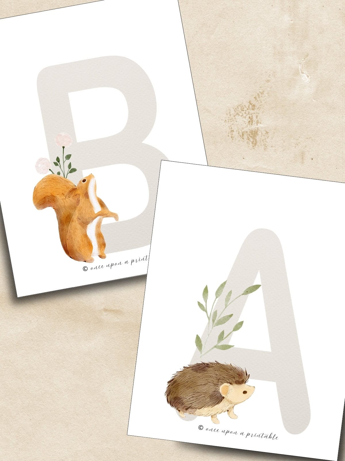 Woodland animal ABC art A and B laying on a creamy background. 