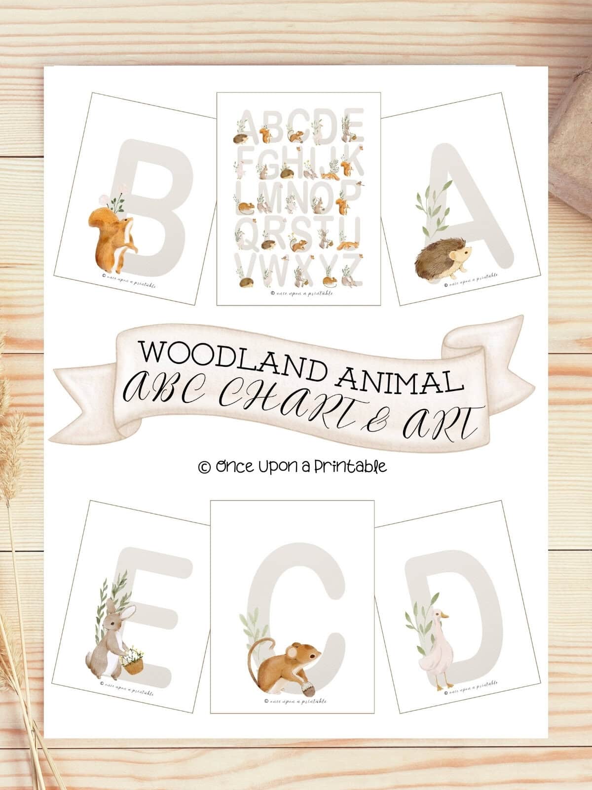 Woodland animal alphabet chart cover page laying on a wooden table. 