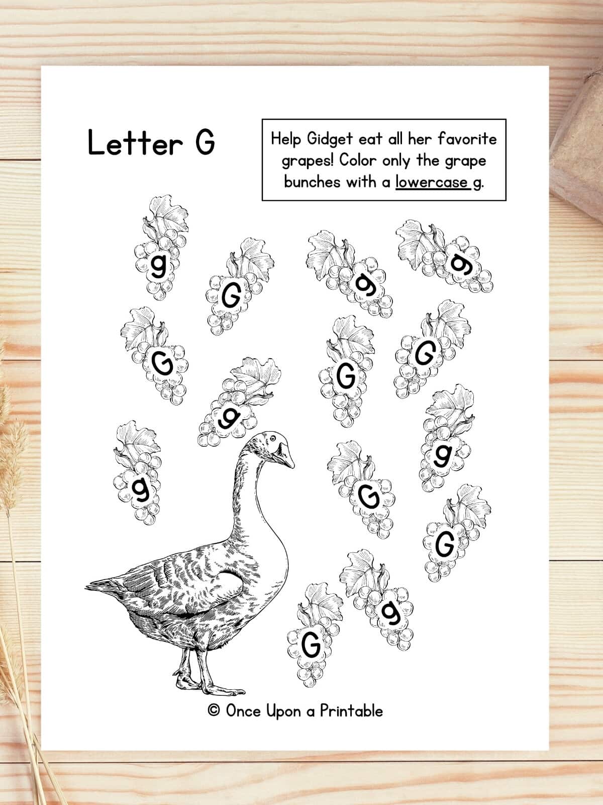 Letter G, Goose capital and lowercase game.