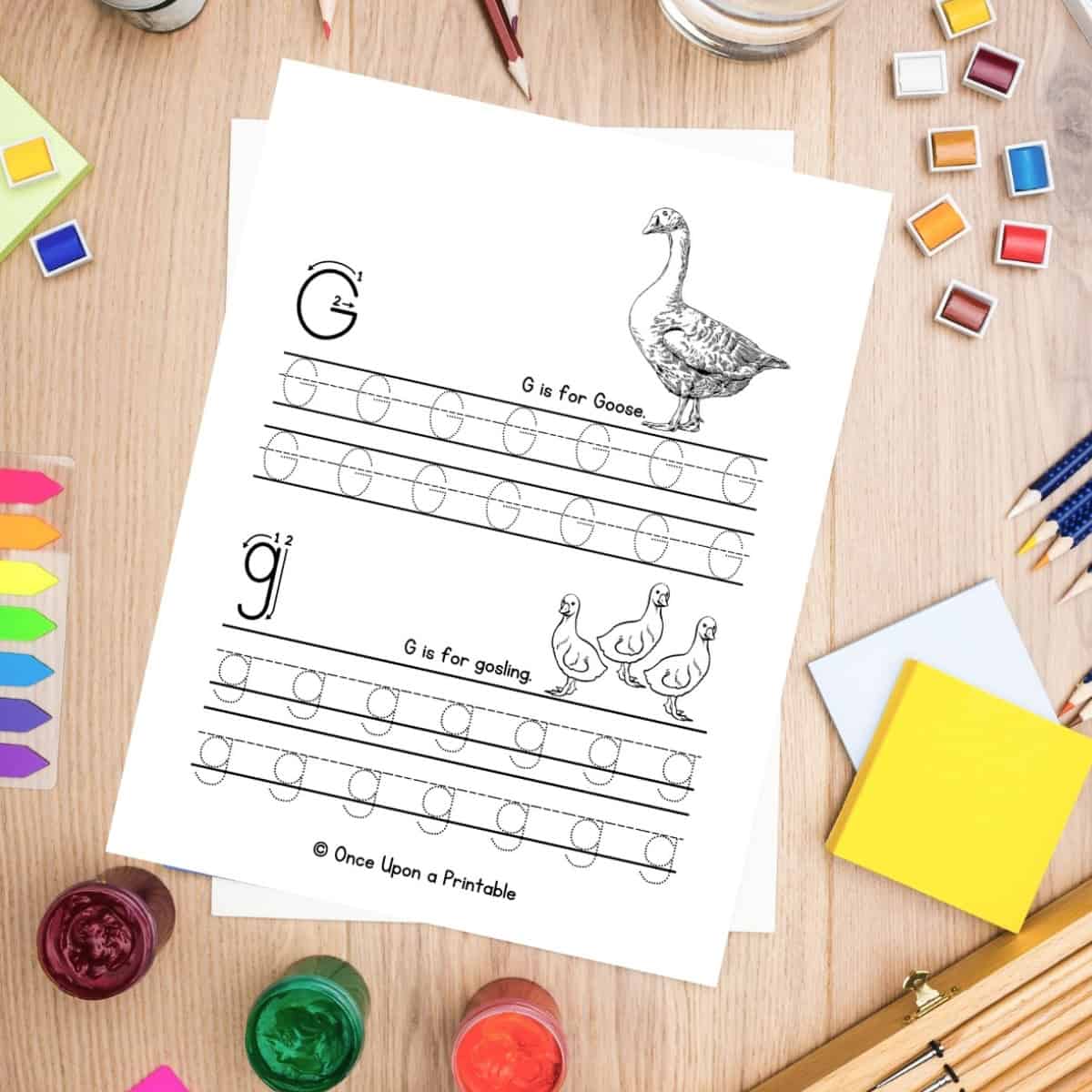 Letter G unit study worksheets for kids with Goose and goslings.