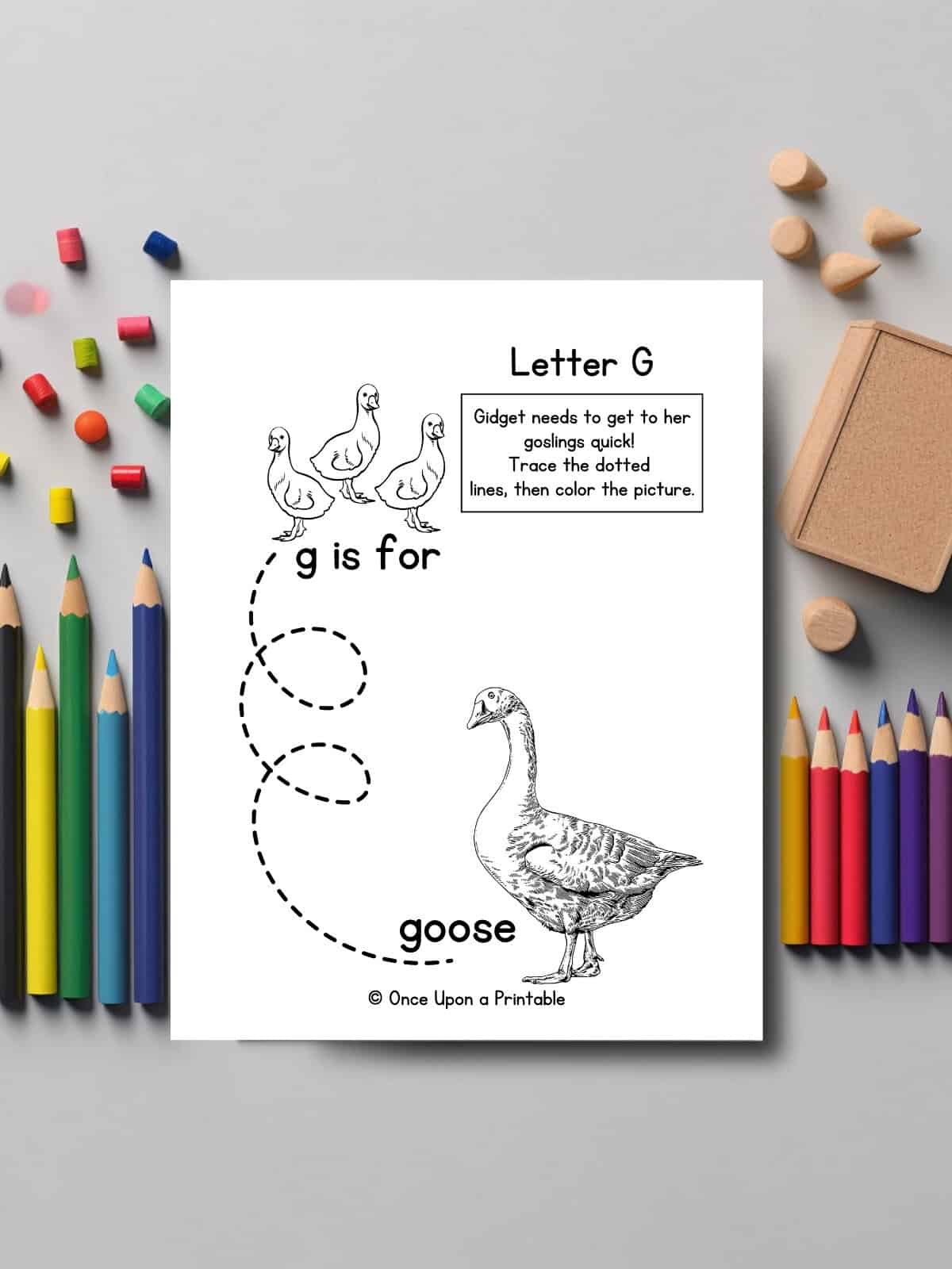 Letter G line tracing and coloring page with goose and goslings. 