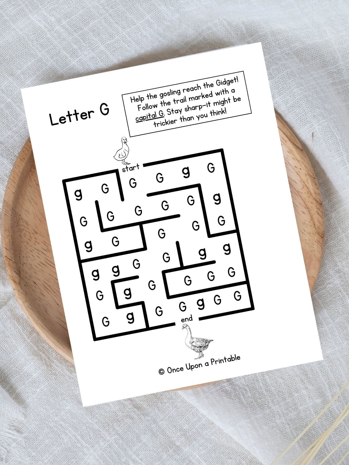 Letter G maze with a goose and gosling.