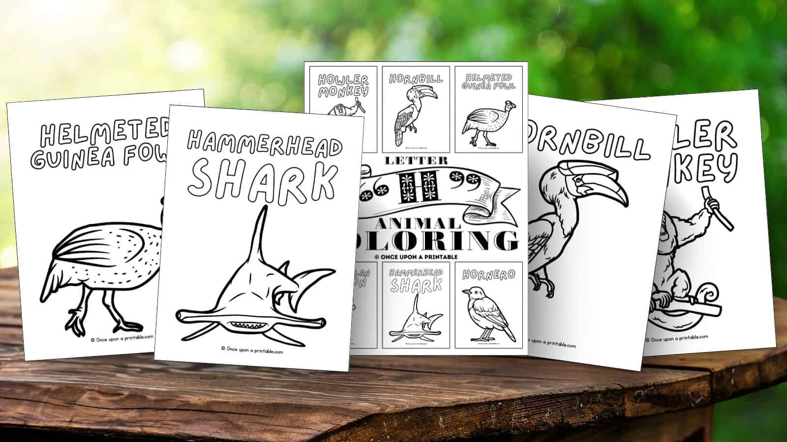 Letter H animal coloring pages hero shot with the cover page and four other sheets like hammerhead shark, helmeted guinea fowl, etc. 