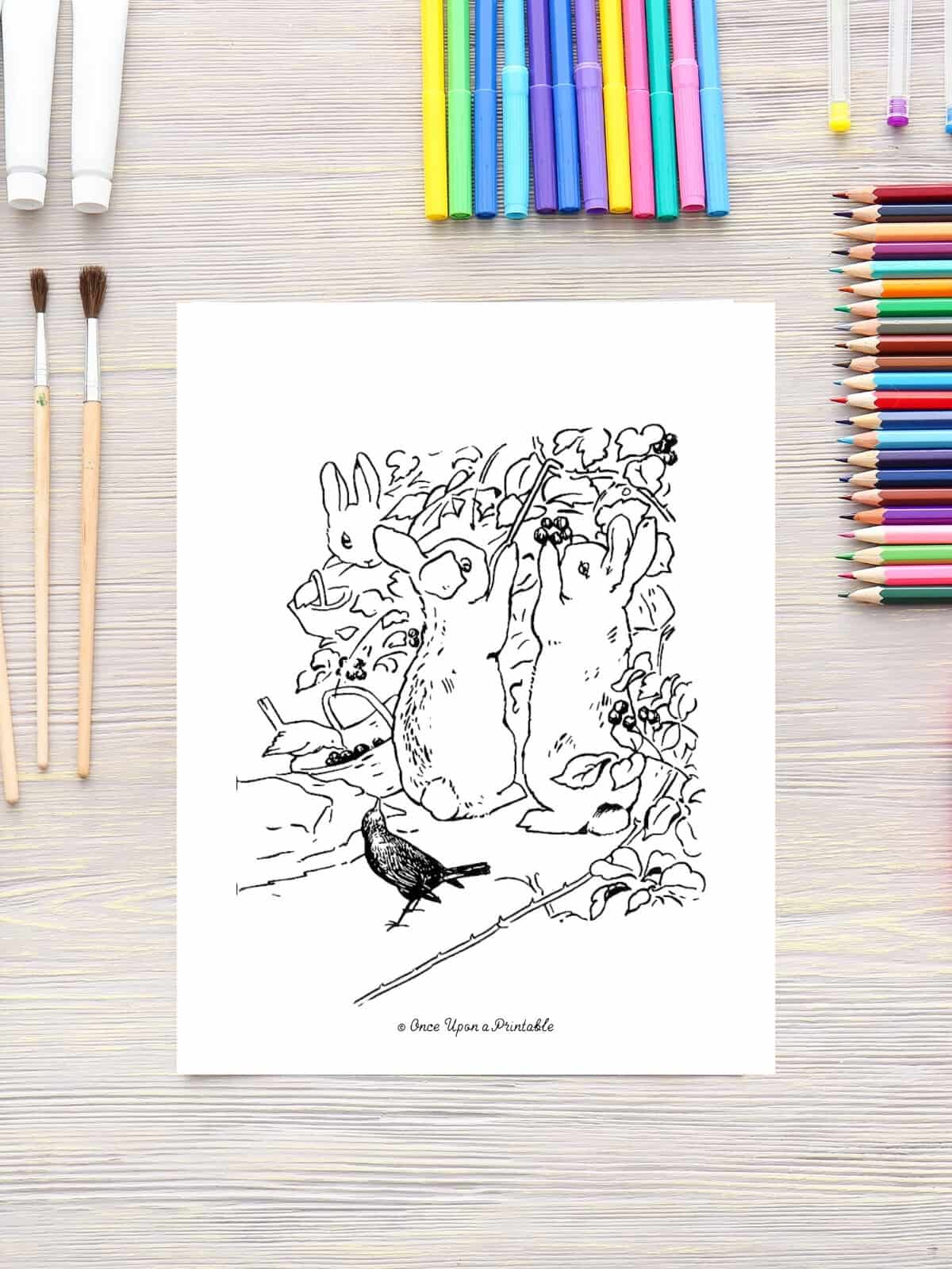Flopsy, Mopsy, and Cottontail picking blackberries at the patch coloring page on a table with coloring pencils. 