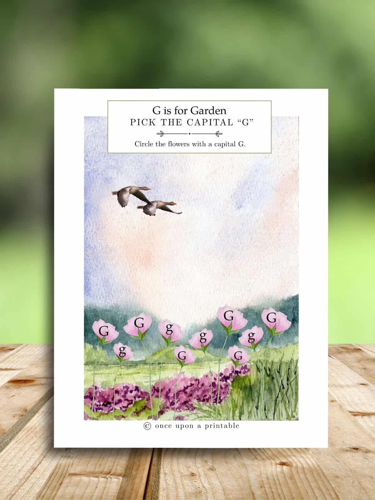 Garden letter G worksheet with watercolor sheet. 