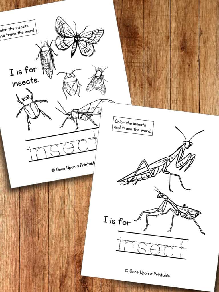 I is for insect worksheets on a wooden table. 