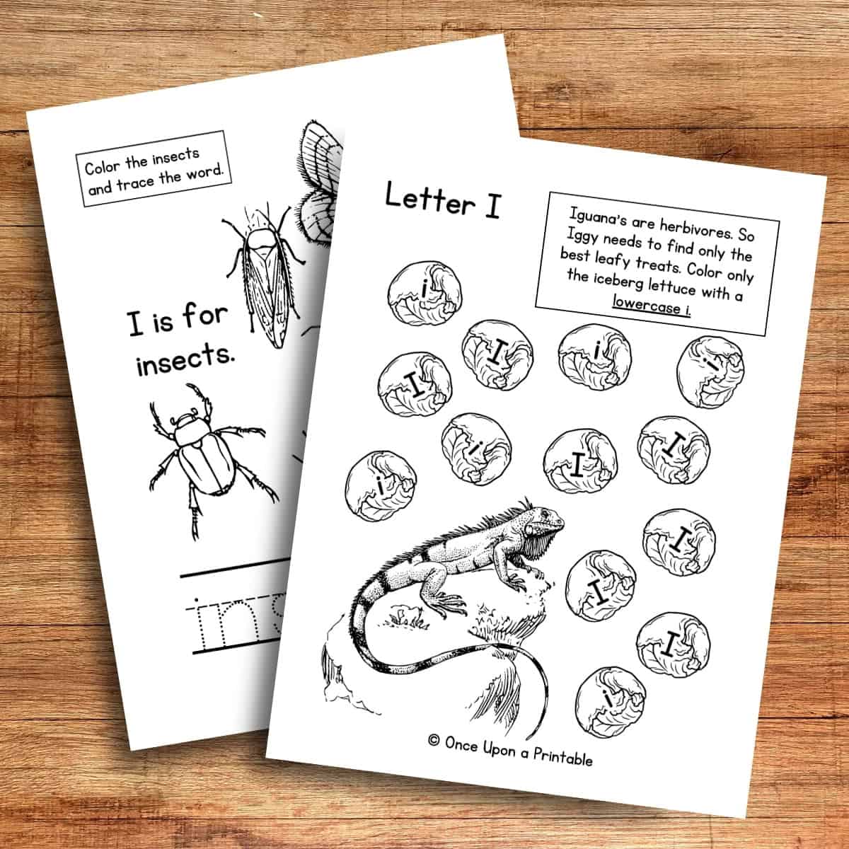 Letter I unit study worksheets with iguana and insects laying on a wooden table.