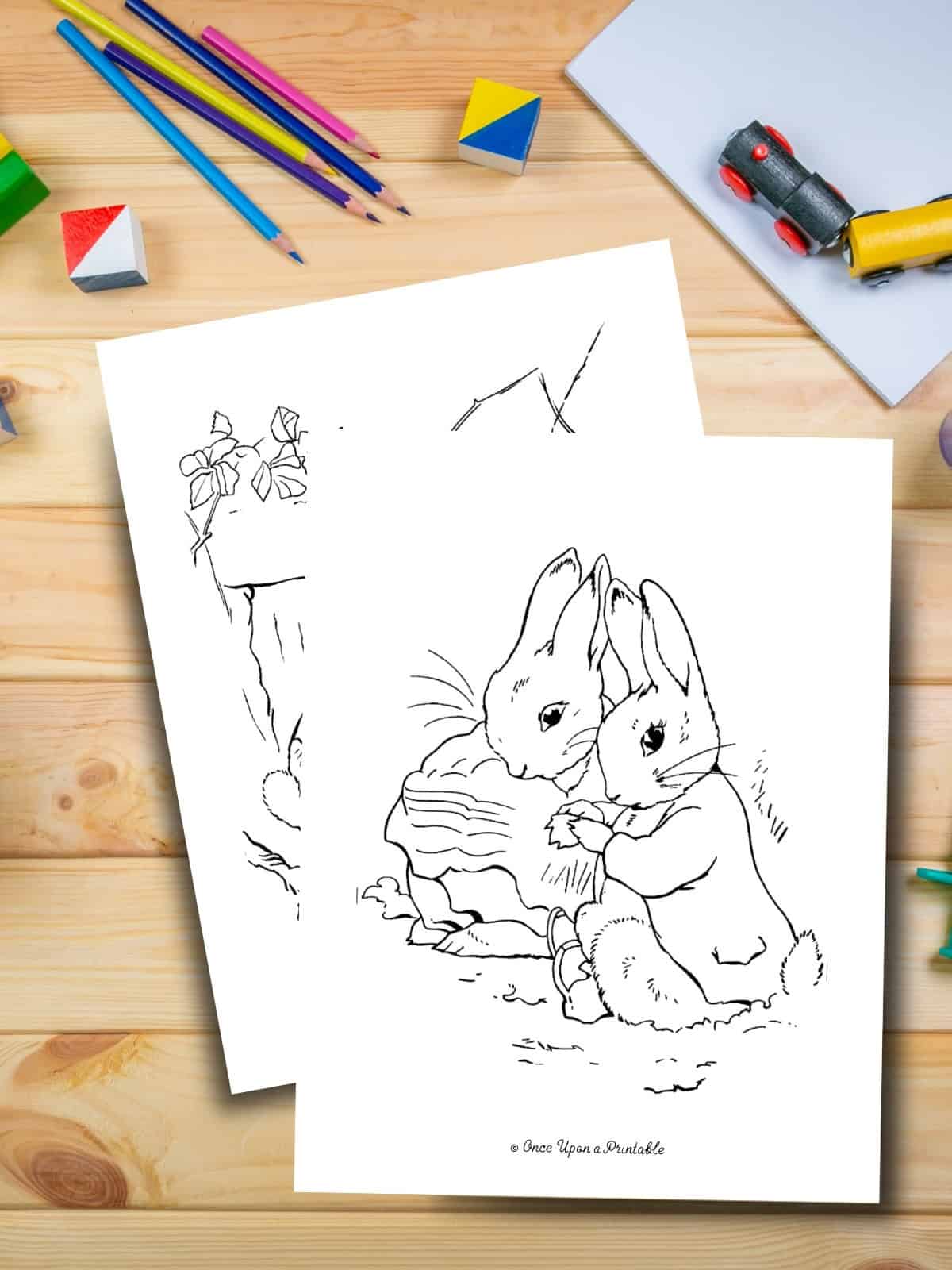 Peter Rabbit and Benjamin Bunny coloring pages laying on a wooden table with coloring pencils.