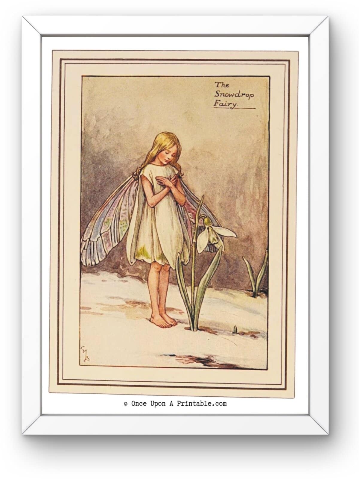 The Snowdrop flower fairy illustration framed in white.