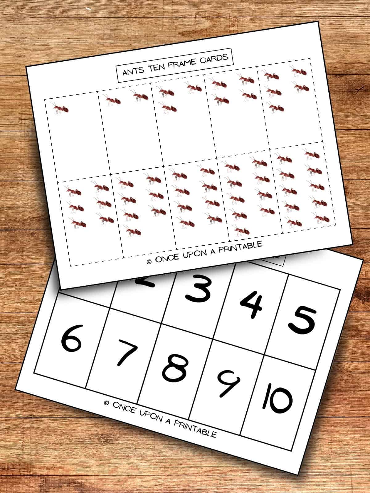 The Ants Picnic ten frame game boards and game cards. 