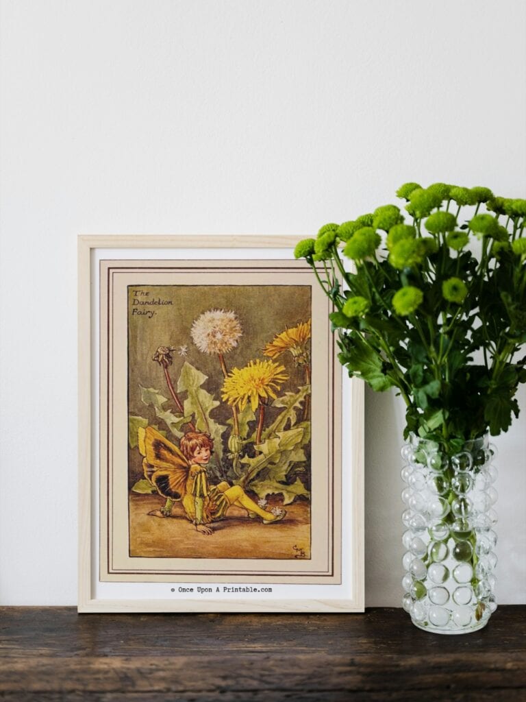 The Dandelion flower fairy illustration by Cicely Mary Barker framed sitting next to a vase full of green flowers.