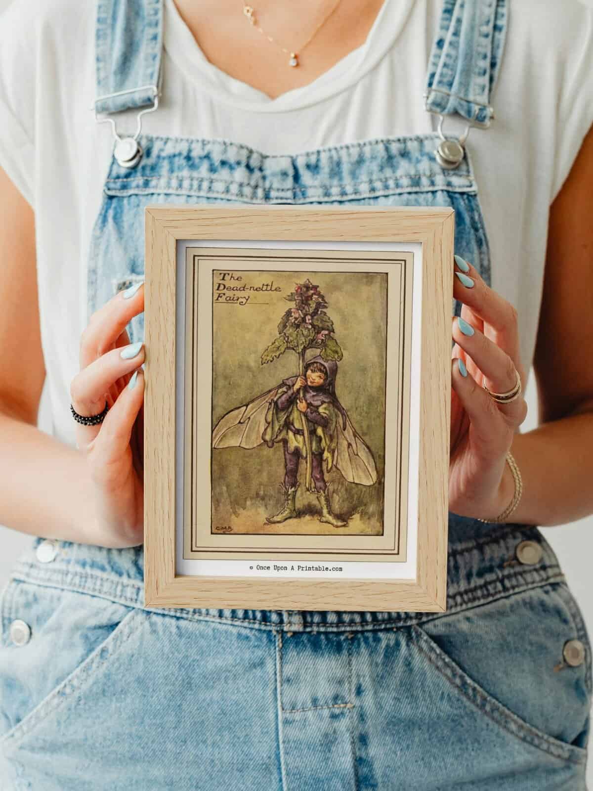The dead Nettle flower fairy illustration framed and held in the hands of a woman.