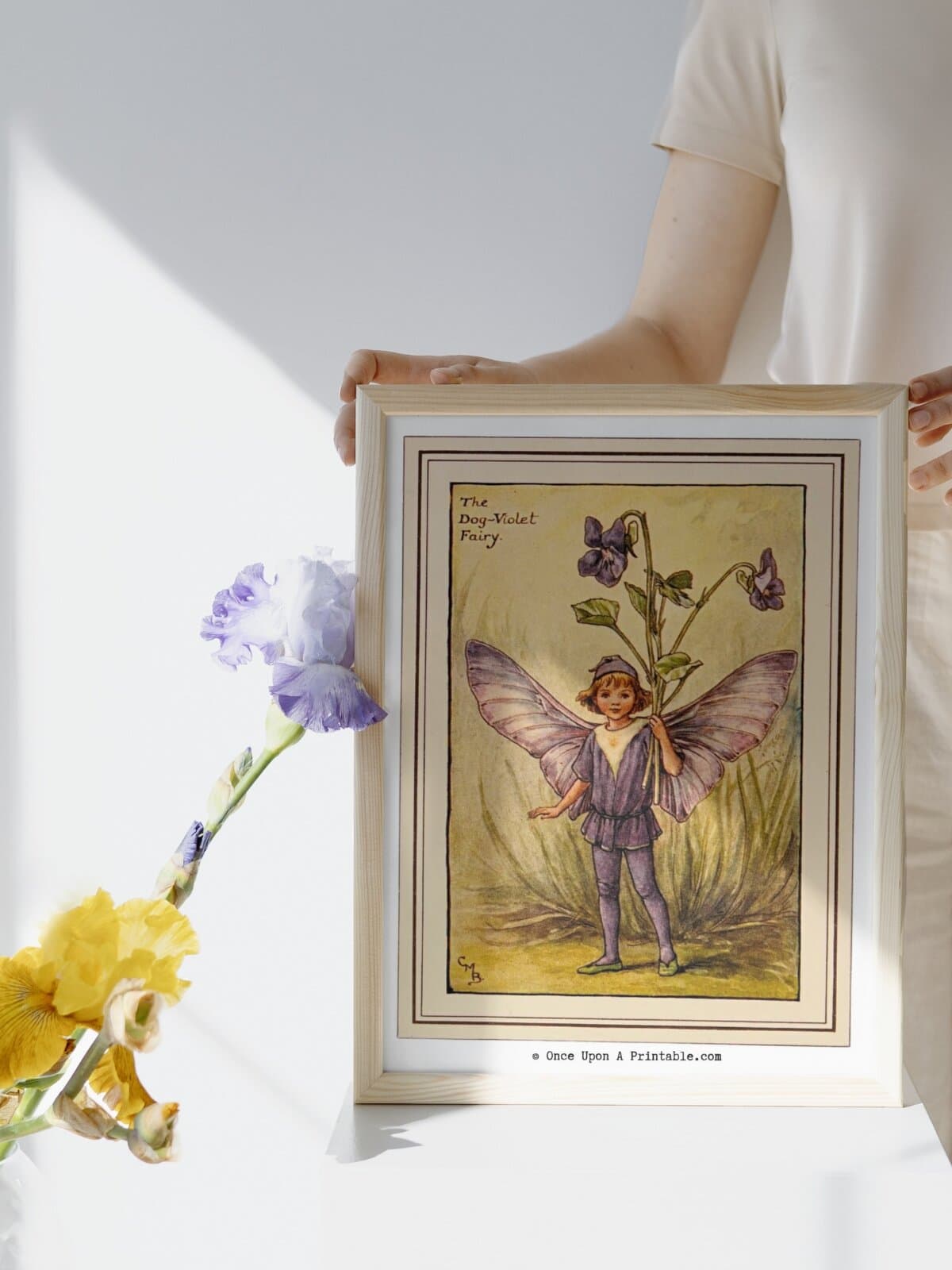 The Dog's velvet flower fairy illustration framed and held by a woman's hands.