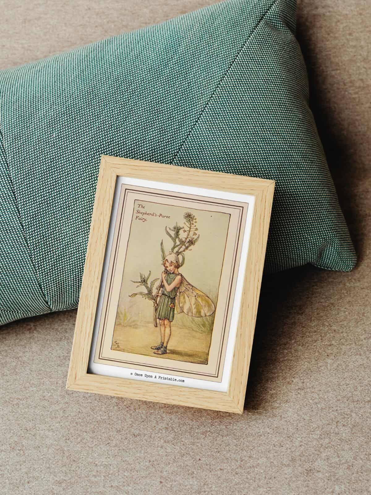 The Shepherd's Purse flower fairy illustration framed laying on a green pillow. 