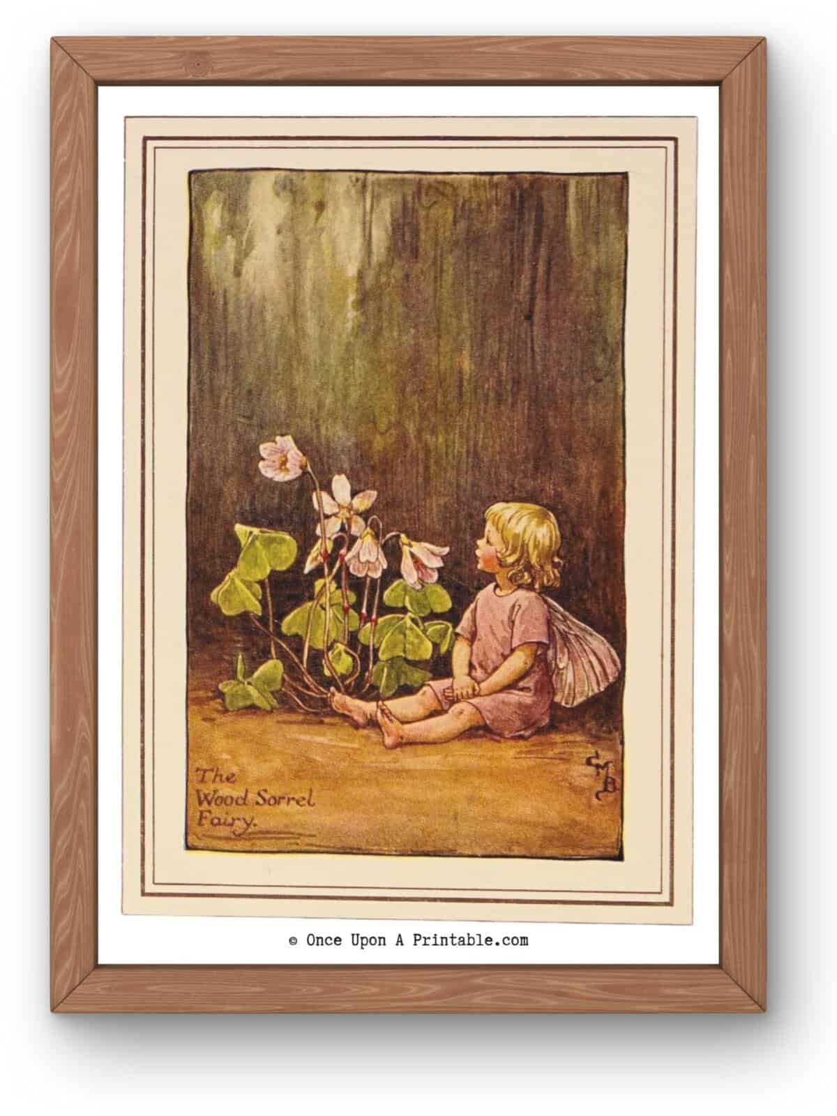 The Wood Sorrel Flower fairy illustration framed in wood.