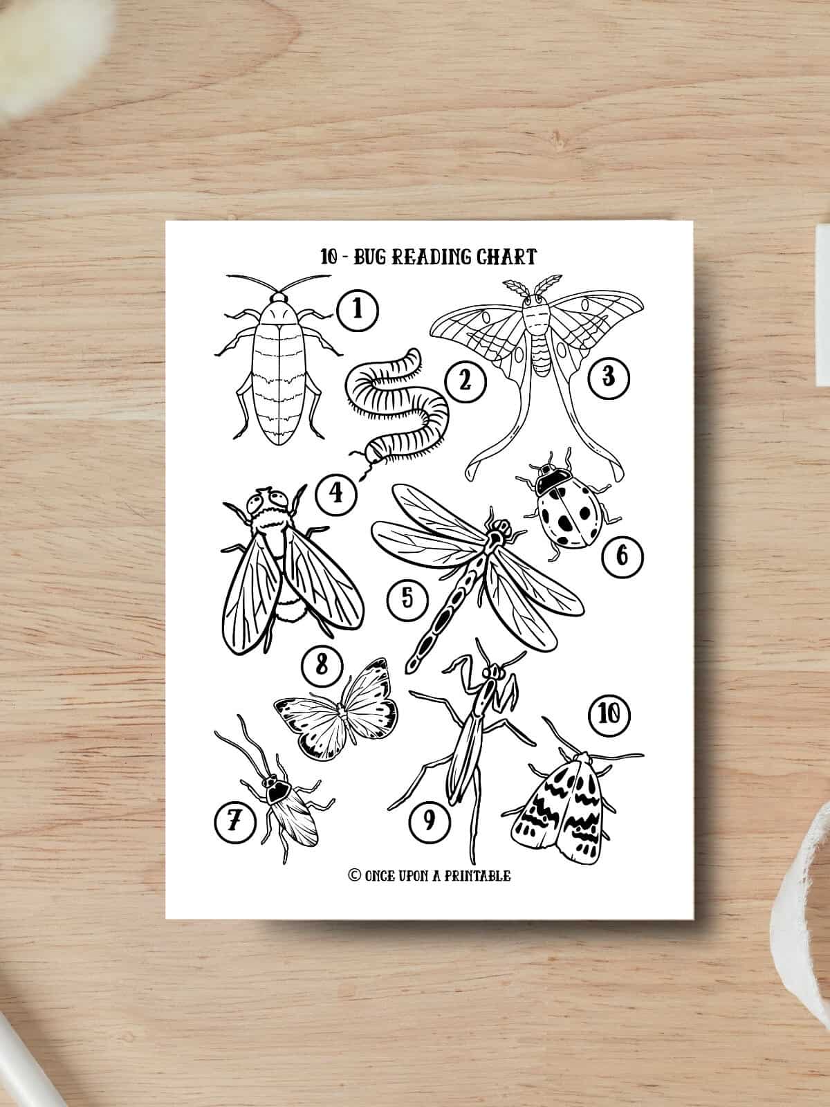 Bug themed reading chart for kids to color.