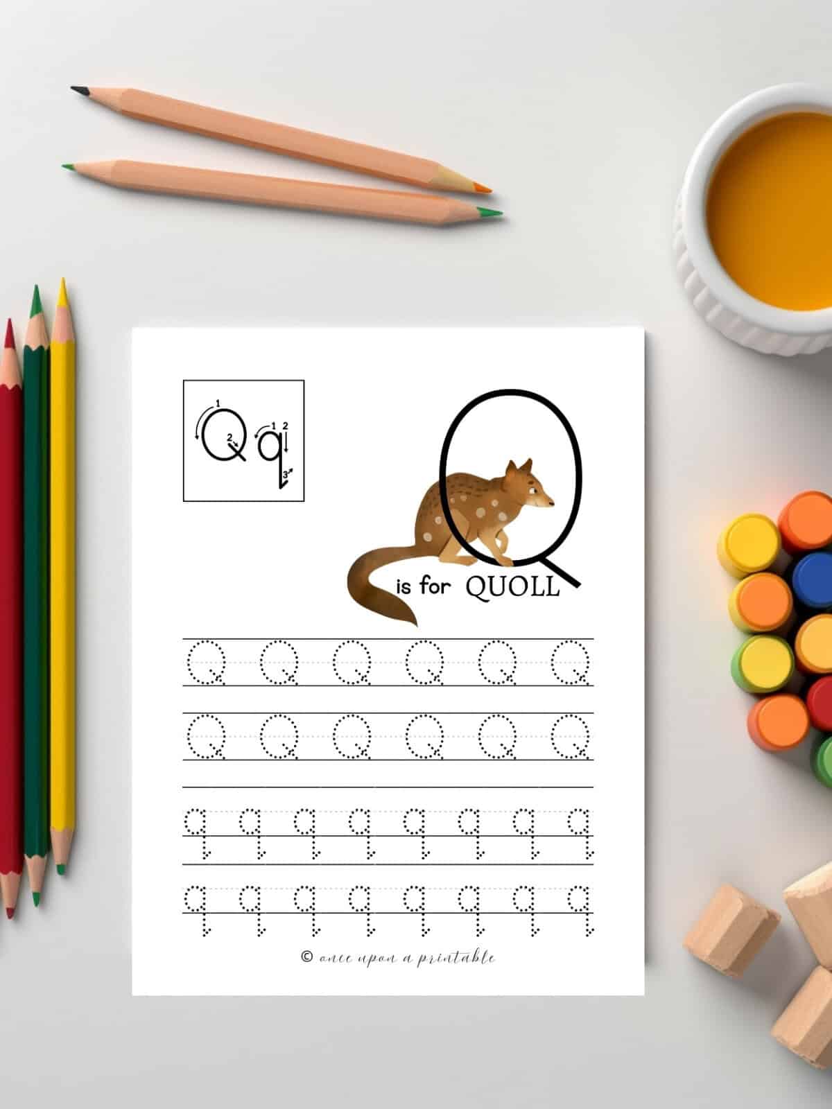 Q is for Quoll, animal letter tracing worksheets