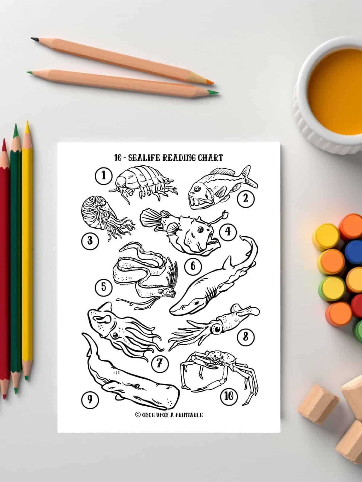 Sealife coloring reading chart for kids.