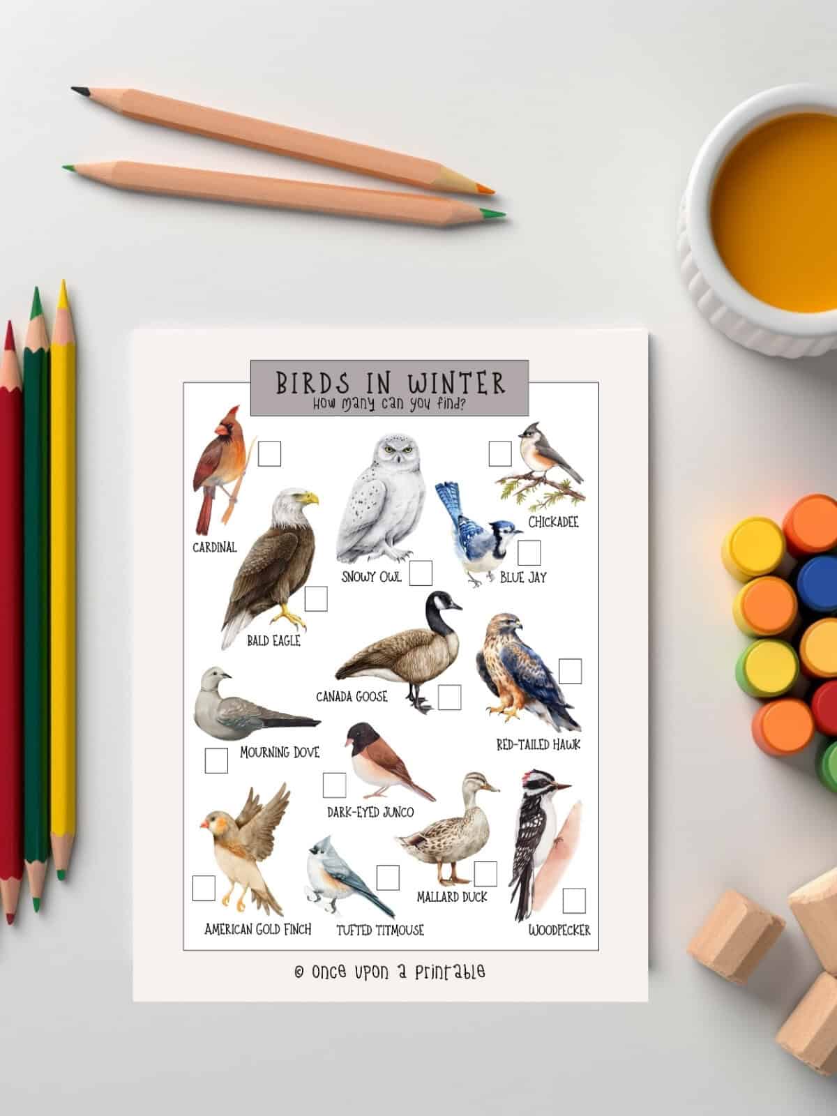 Birds in winter, scavenger hunt for kids.