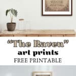 Edgar Allan Poe "the raven" art prints.