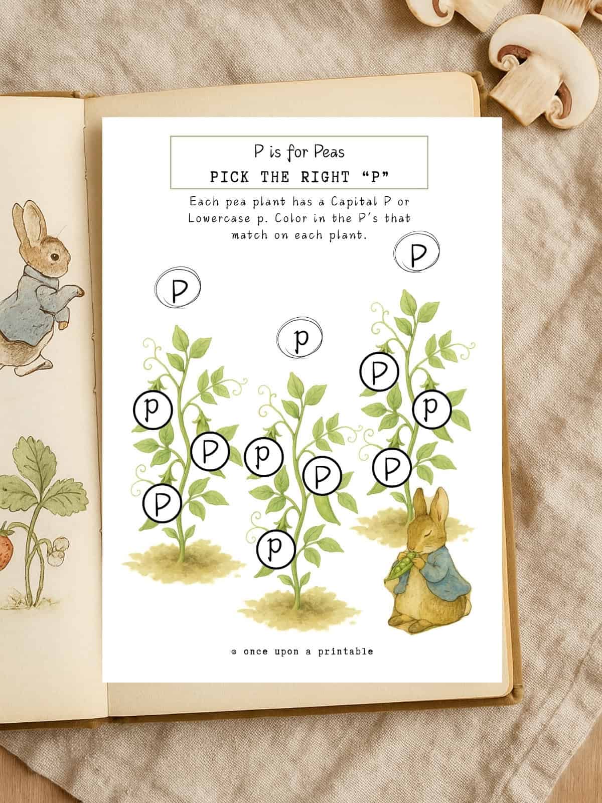 Peter Rabbit garden worksheets. 