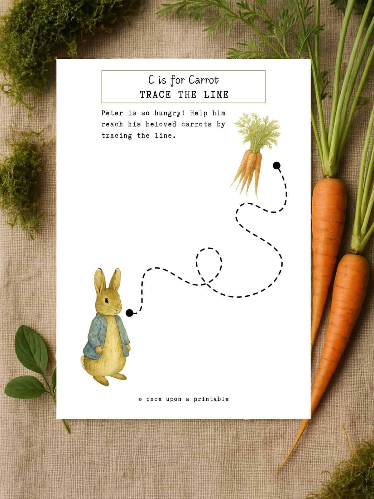 Peter Rabbit garden worksheets. 