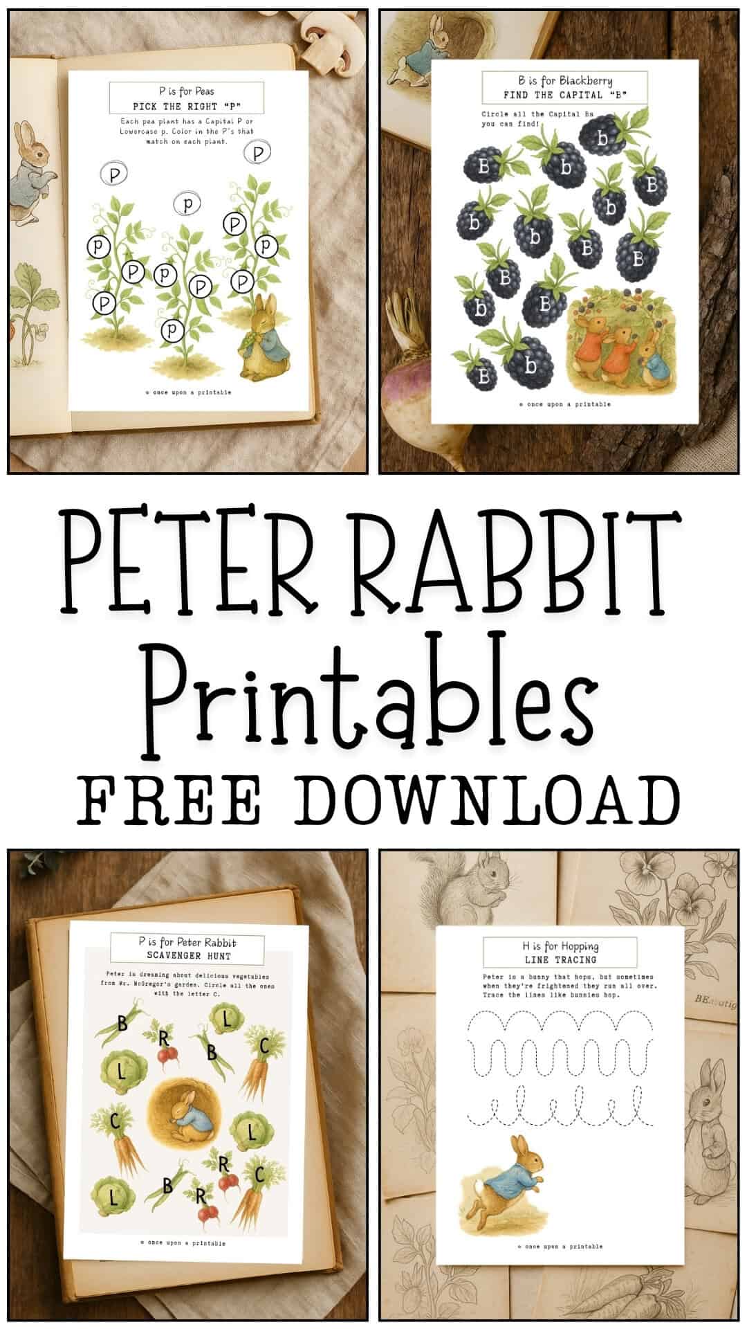 Peter Rabbit printables. 