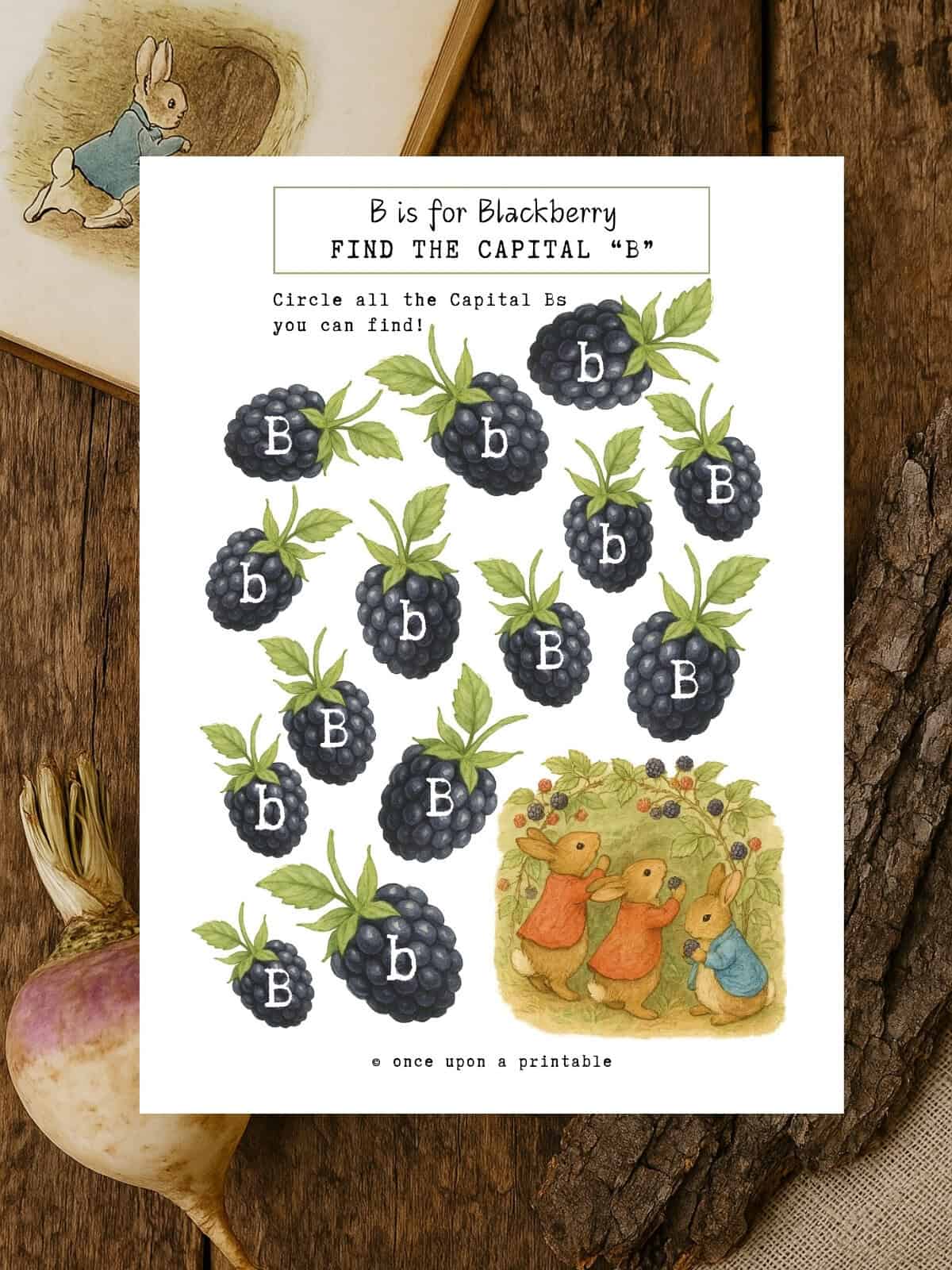 Peter Rabbit garden worksheets. 