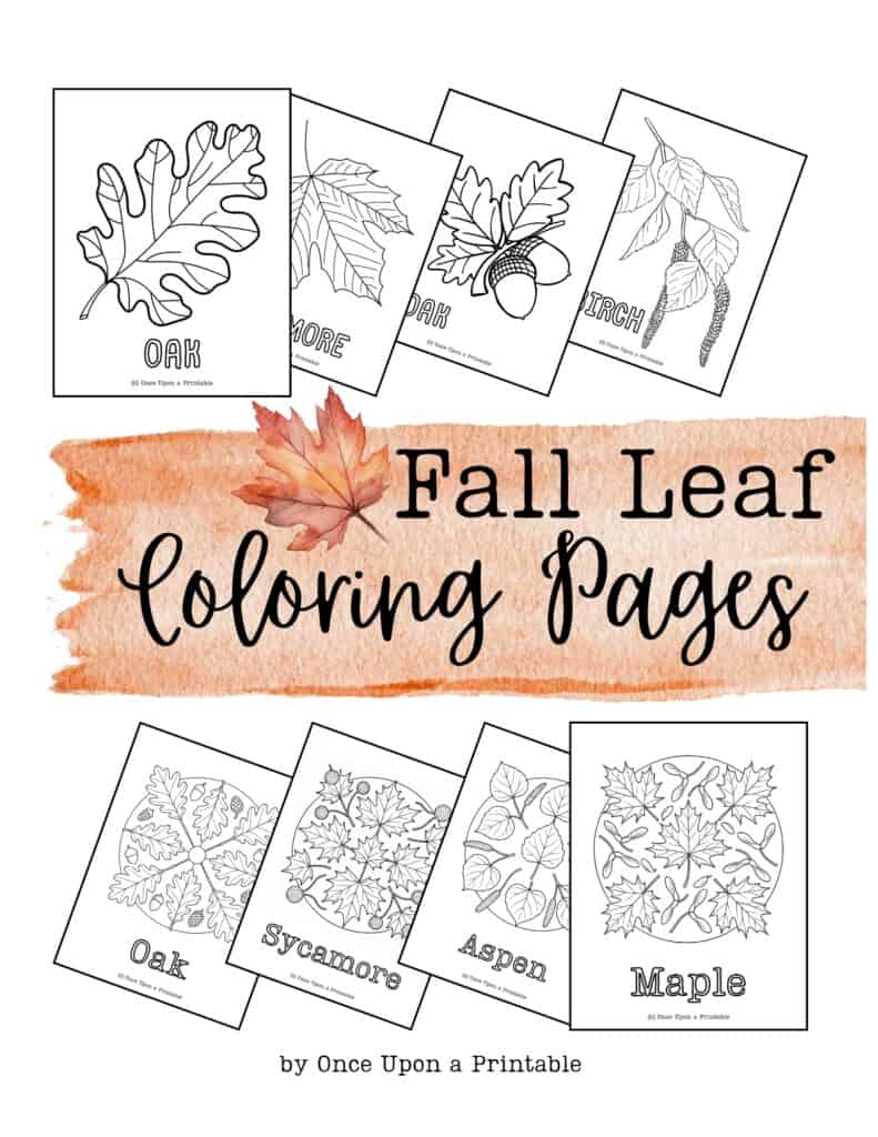 Fall leaf coloring page cover page.
