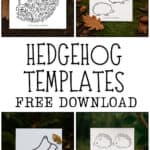 Hedgehog Templates printables.