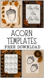 Acorn Templates (Free Printables) - Once Upon a Printable