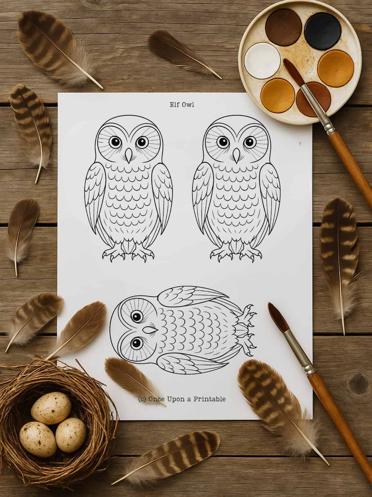 Elf Owl template with three.