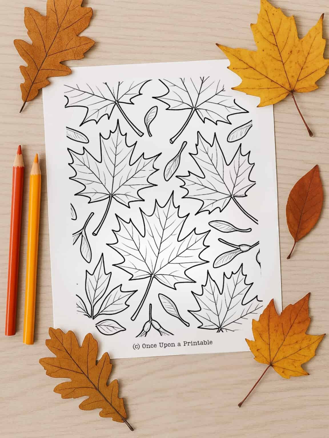 69 Fall Leaves Coloring Pages (Free Printables for All Ages) - Once ...