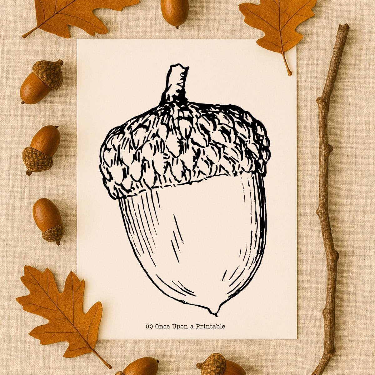 Acorn templates printables.