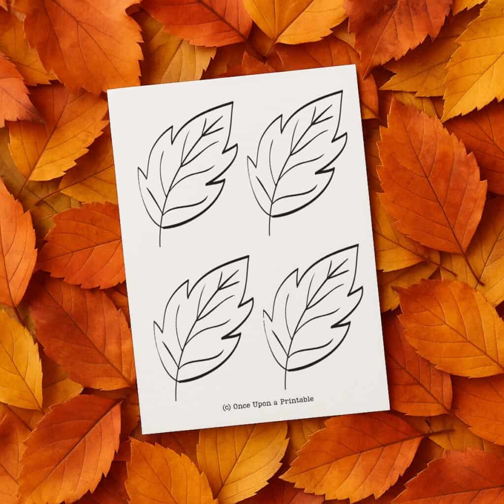 leaf template printable.