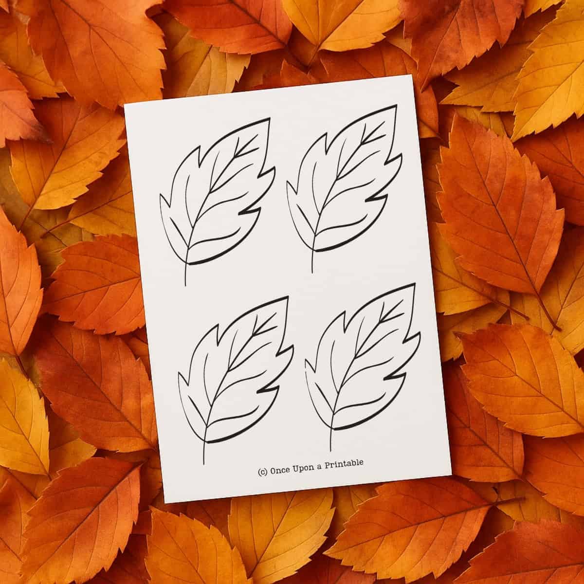 leaf template printable.