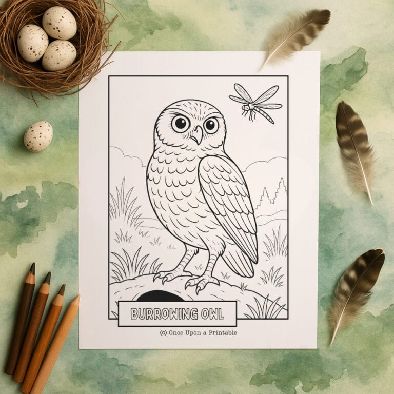 Owl coloring pages with a burrowing owl and dragonfly.