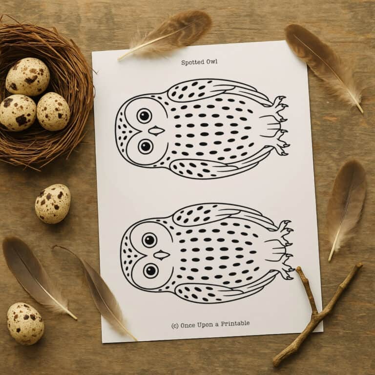 Owl template printables with two Owls on the page.