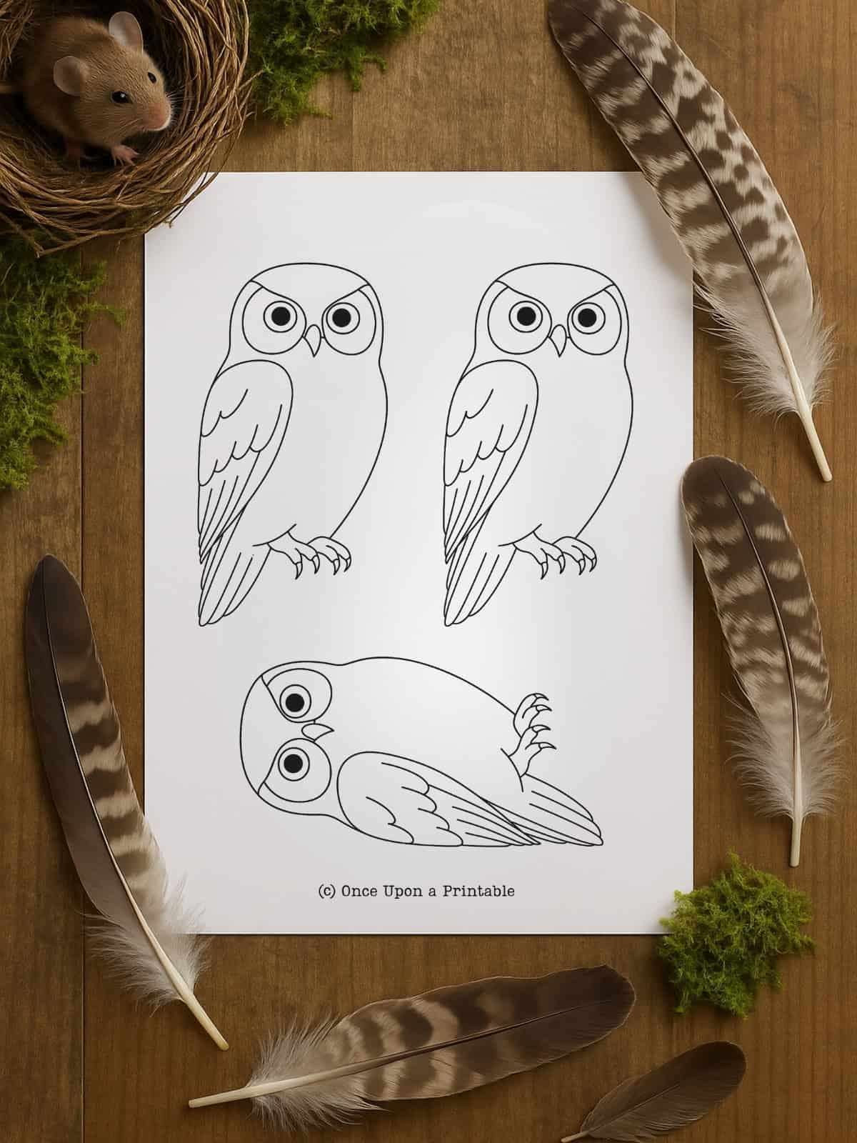 Owl printable template with three owls.