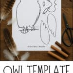 Owl template printables.