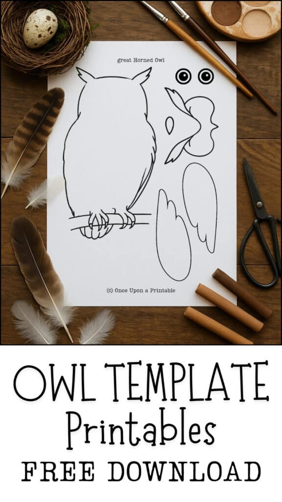 Owl Template Math Owl Template (Free Printable) - Once Upon a Printable